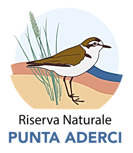 Riserva Naturale Punta Aderci